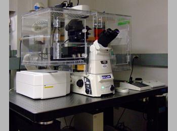 Confocal Microscope Nikon